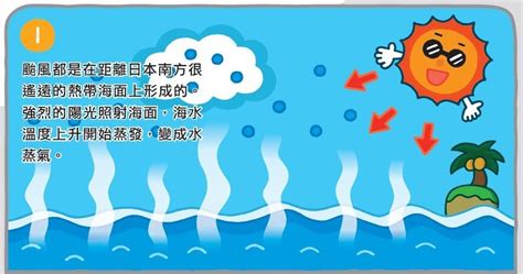 颱風的形成兒童|【科學小知識】為什麼夏天會有颱風？每個颱風形成都。